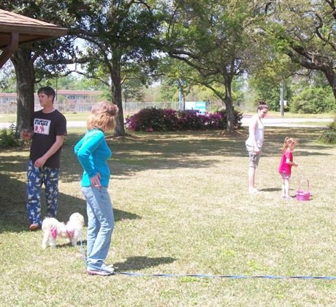 Tammie Marie Hollis Zerko - Photo 136