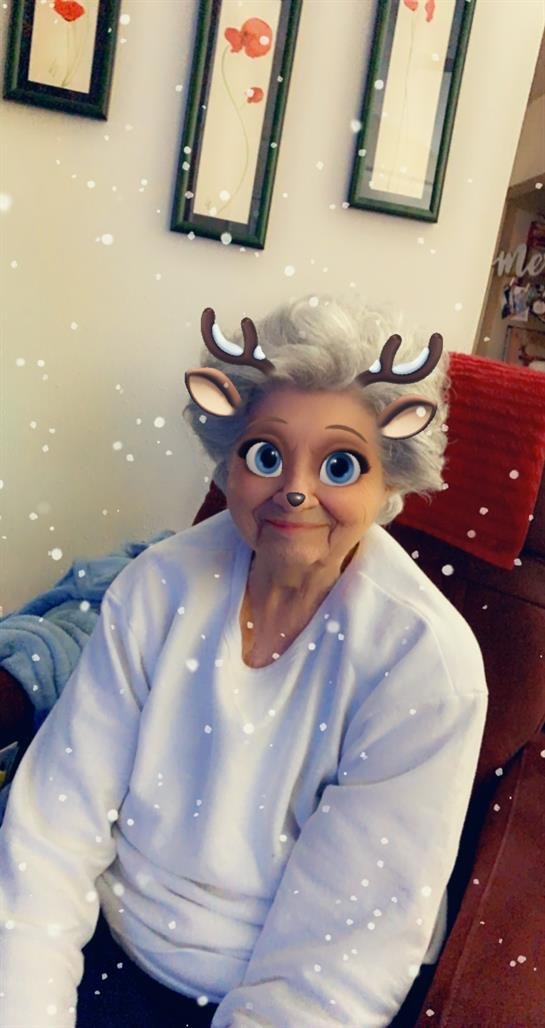 Frances Ann Wilson Chester - Photo 29