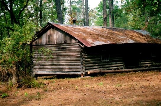 Edgar Willis McGuire - Photo 44