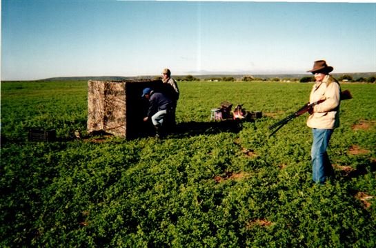 Edgar Willis McGuire - Photo 72