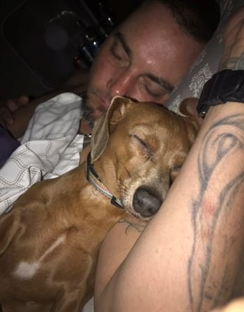 Steven Michael McGill - Photo 18