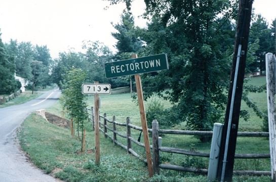 Marcus Gil Rector - Photo 184