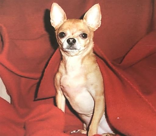 Betty Jane Duhon - Photo 27