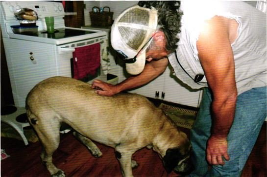 Darrell Lynn Pierce - Photo 60