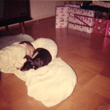 Darrell Lynn Pierce - Photo 75