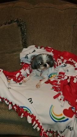 Arlon Roy Roberts - Photo 12