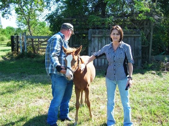 Darlene Faye Jennusa - Photo 110