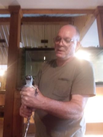 Scotty William Storey - Photo 35