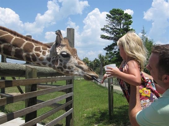 Jordan William Stevenson - Photo 56