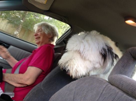 David Gerald Pitts - Photo 14