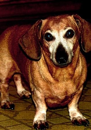 Wanda Louise Picard - Photo 91