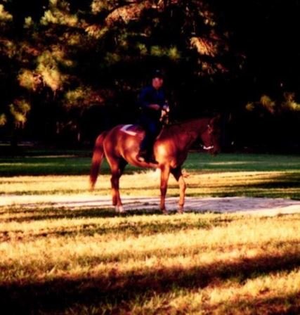 William "Bill" Lee Snyder II. - Photo 21