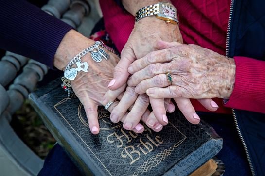 Beth Bagley Shepherd - Photo 11