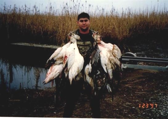 Mark Dale Lonion - Photo 2