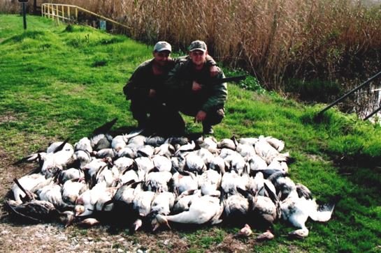 Mark Dale Lonion - Photo 52