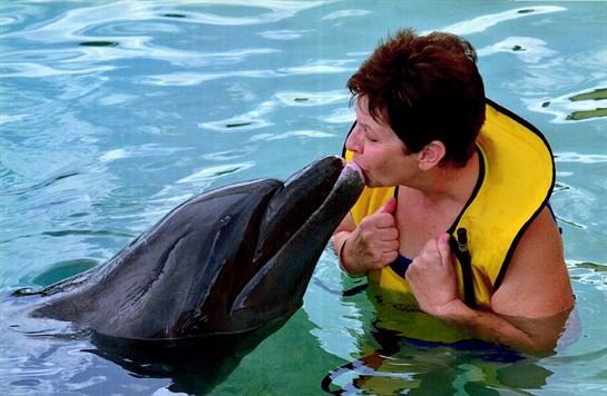 Joyce Ann Sonnier - Photo 38