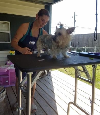 Judy Bembry - Photo 26