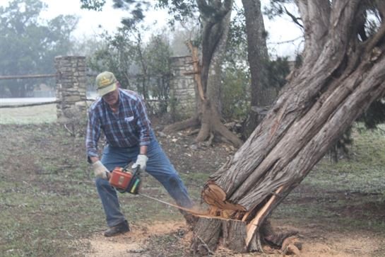 Ralph Thon - Photo 7