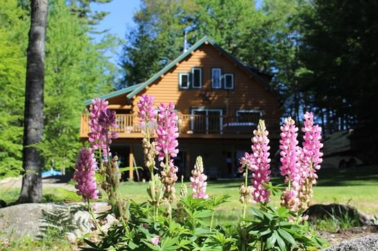 Ralph Thon - Photo 74