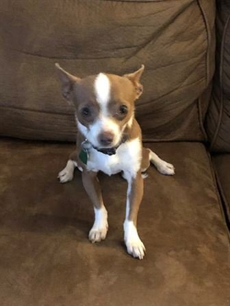 Randy Thomas Johnson - Photo 16