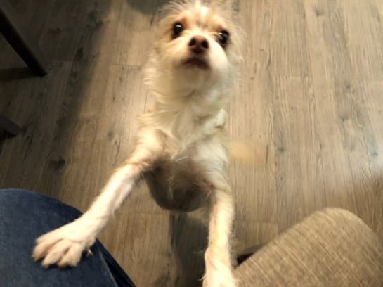 Randy Thomas Johnson - Photo 91