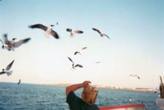 Trisha-Lee "Sharp" Dollery - Photo 11