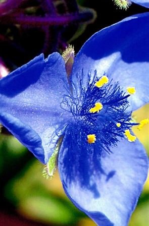 James "Jim" Norton Turpin - Photo 16