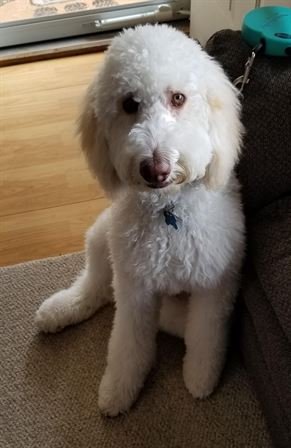 Tiffany Lee Handley - Photo 26