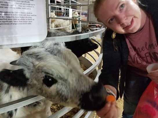 Tiffany Lee Handley - Photo 72