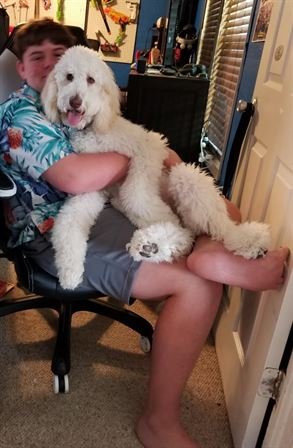 Tiffany Lee Handley - Photo 90