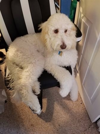 Tiffany Lee Handley - Photo 92