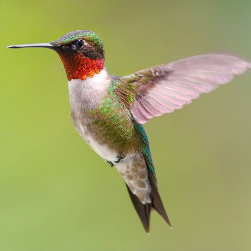 Betty Jane Garner - Photo 26