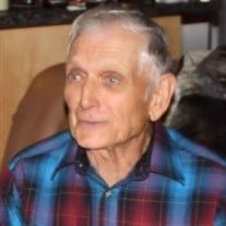 Vertis Arvell Lummus, Sr.