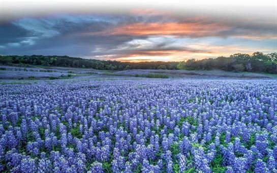 Elizabeth Brazelton Gross - Photo 26