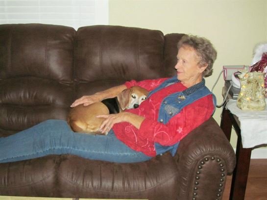 Faye Cox Sherwood - Photo 16