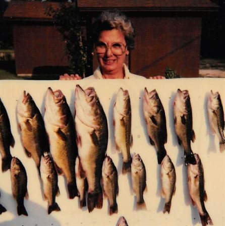 Lavinia Weber Brown - Photo 72