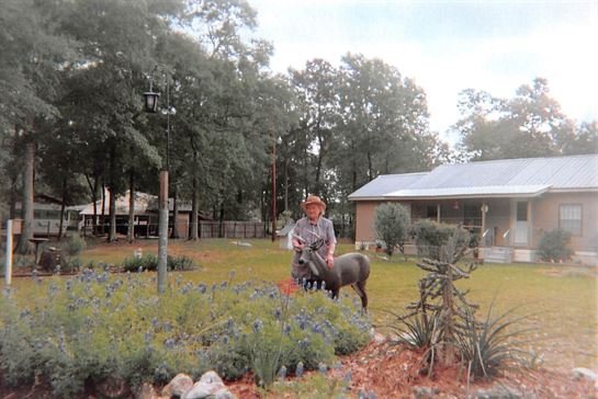 Dora Mae Teal - Photo 30