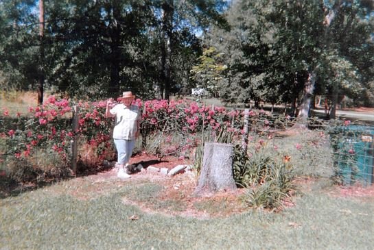 Dora Mae Teal - Photo 38