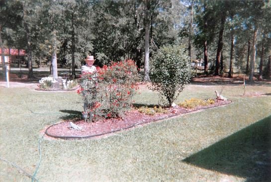 Dora Mae Teal - Photo 44