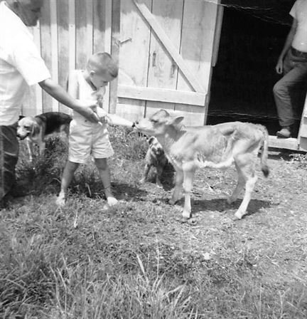 Dr. Tommy Alan Cary - Photo 11