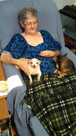 Judyth Cole - Photo 41