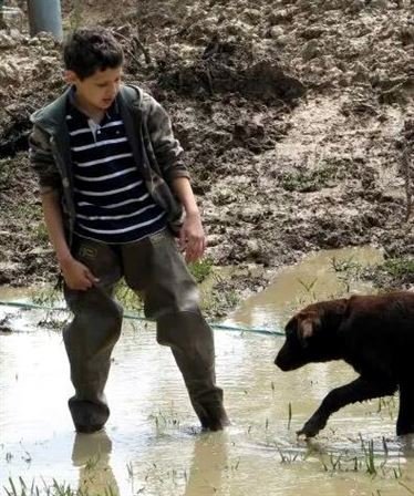 Devon Lynn Lestage - Photo 16