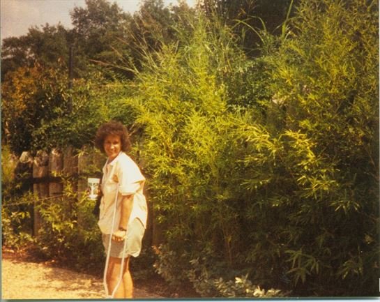 Patricia Ann Lee - Photo 164