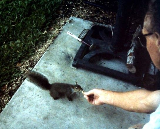 Russell Dale Morris - Photo 58