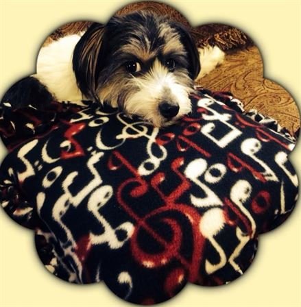 Ann Louise Bryant - Photo 33