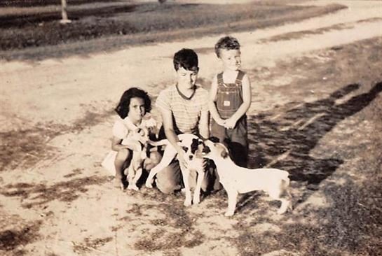 Roy Edwards Owers - Photo 12