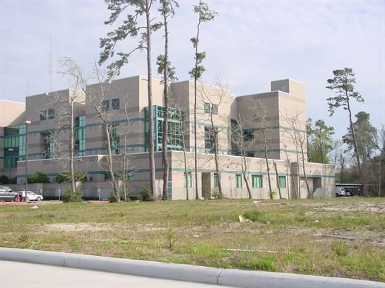 Carol Jean Martinez - Photo 10