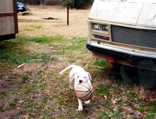 Charles Ernest Brandon Jr. - Photo 96