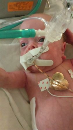 Kenneth Wayne DeLome, Jr - Photo 18