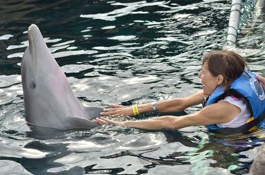 Sandi Mobley Huckabay - Photo 8